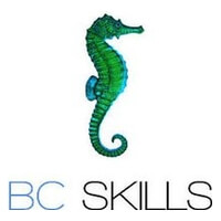 Logo de l'entreprise BC SKILLS