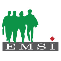 Logo de l'entreprise EMSI (École marocaine des sciences de l'Ingénieur)
